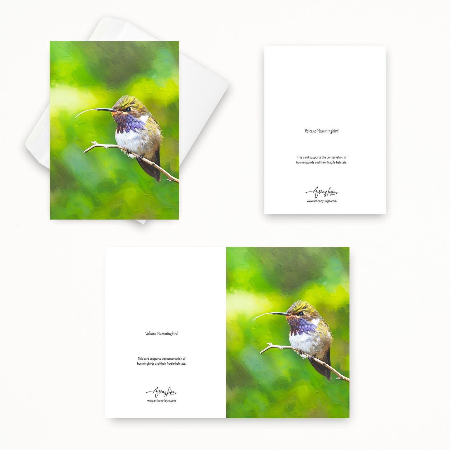 Volcano Hummingbird | 5x7 Note Card