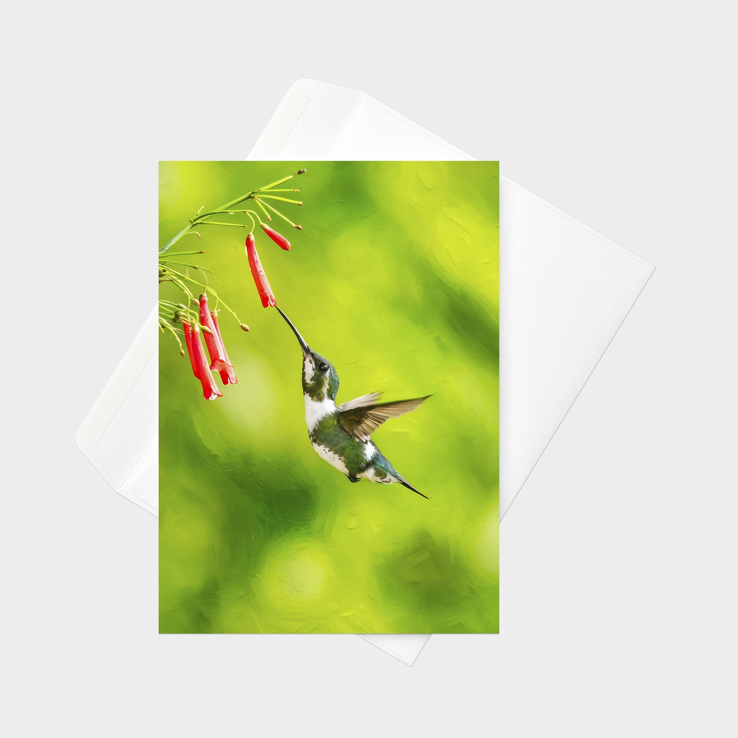 White-bellied Woodstar  | 5x7 Note Card