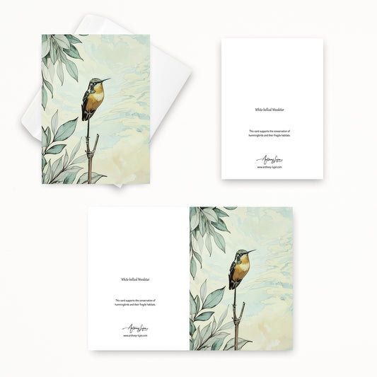 White-bellied Woodstar  | 5x7 Note Card