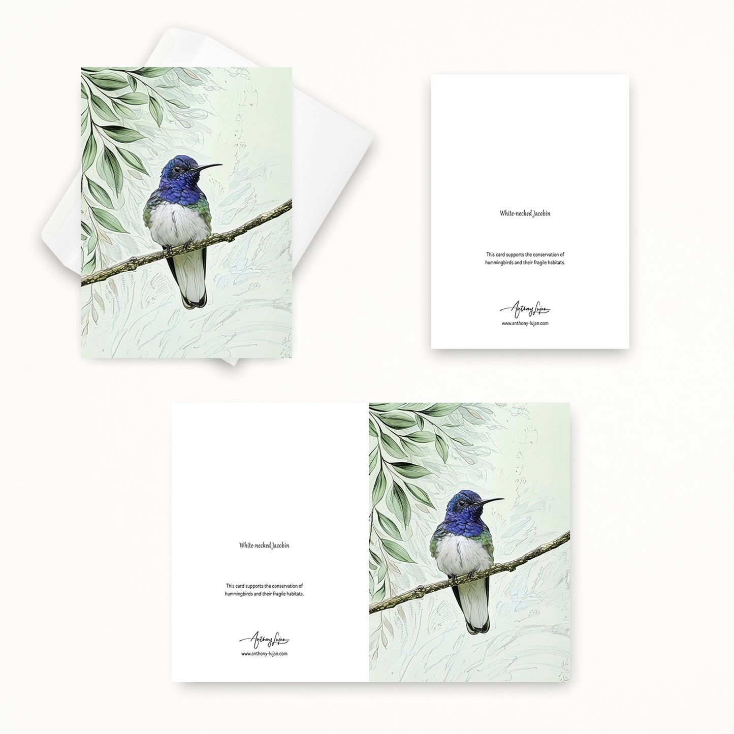 White-necked Jacobin | 5x7 Note Card