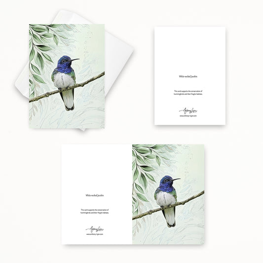 White-necked Jacobin | 5x7 Note Card
