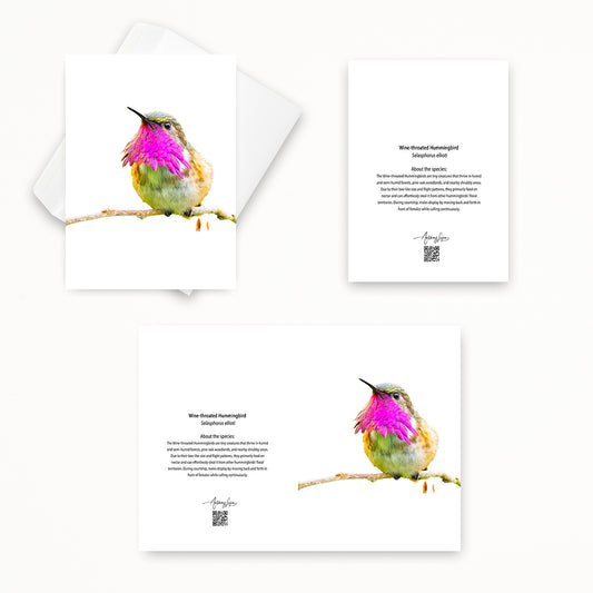 Wine-throated Hummingbird 5x7 note card featuring Anthony Lujan photography