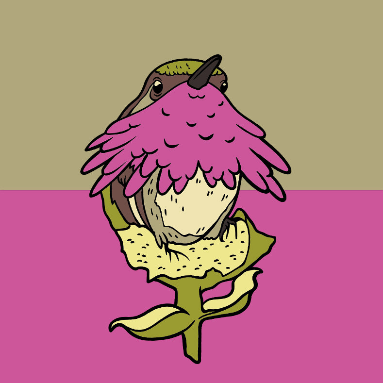 Wine-throated Hummingbird pin example