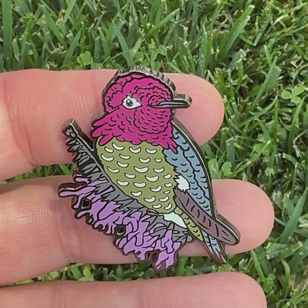 Anna's Hummingbird enamel pin video