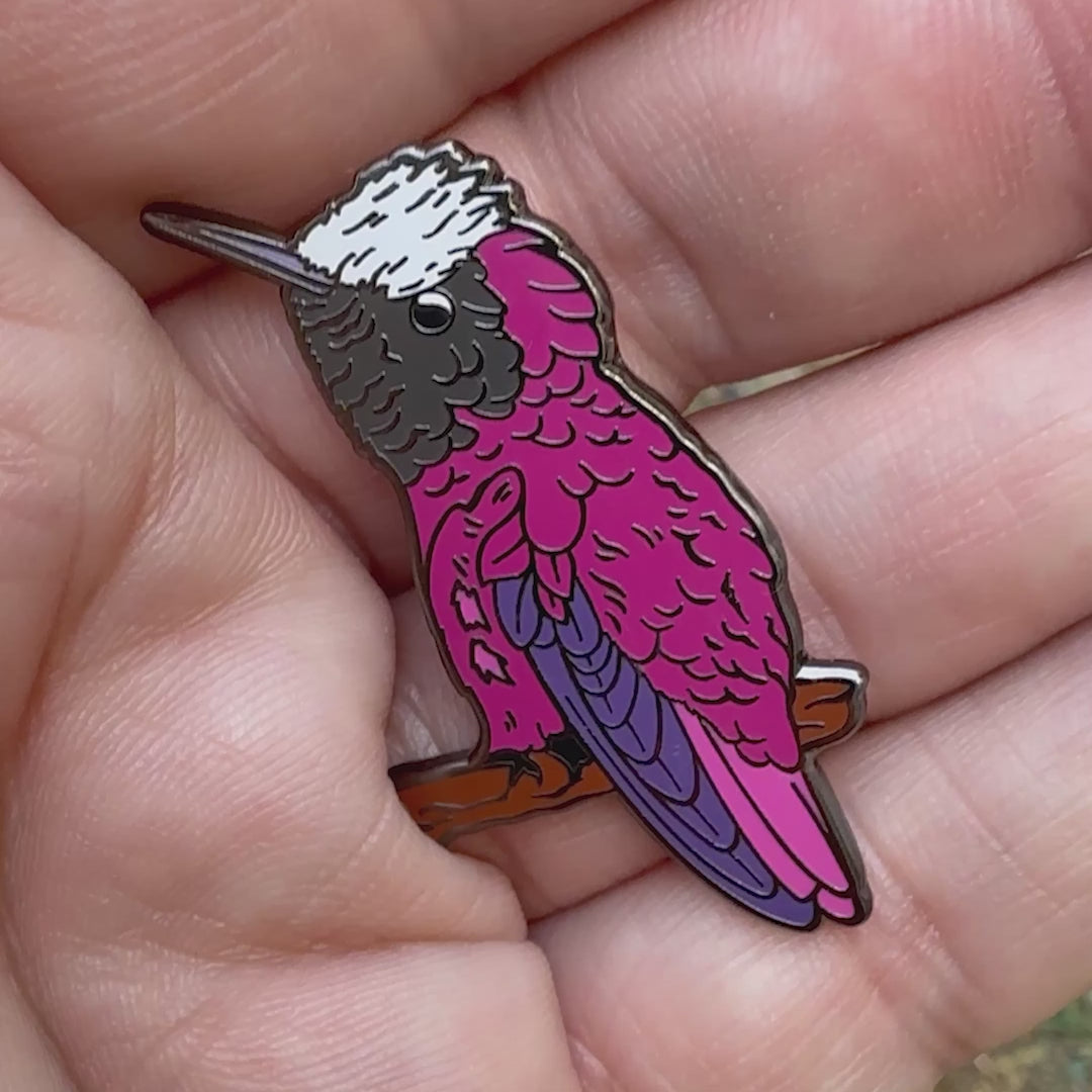 Snowcap Hummingbird enamel pin video