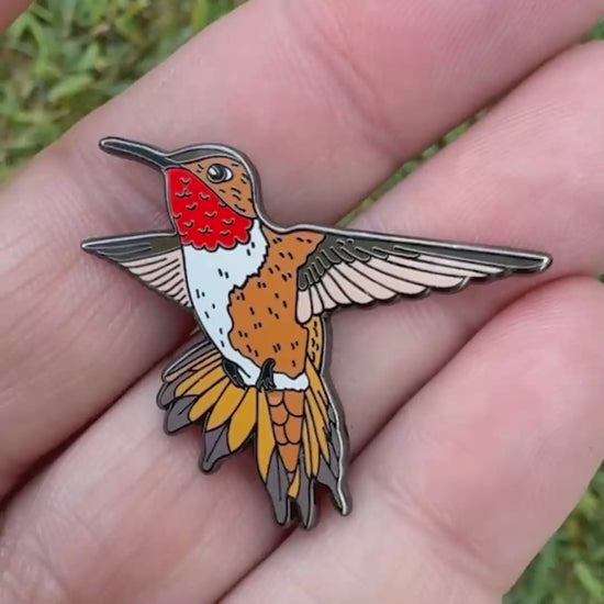 Rufous Hummingbird enamel pin video