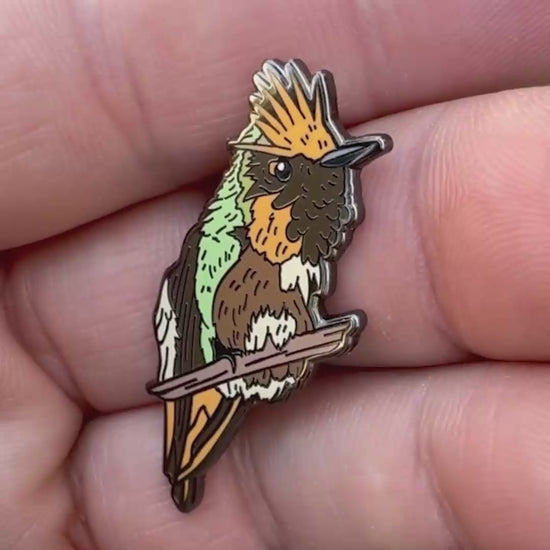 Short-crested Coquette enamel pin video