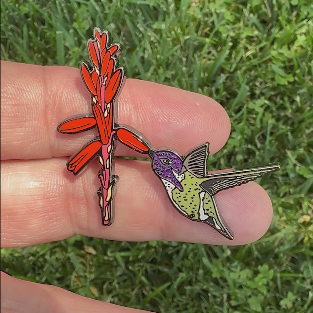 Costa Hummingbird enamel pin video